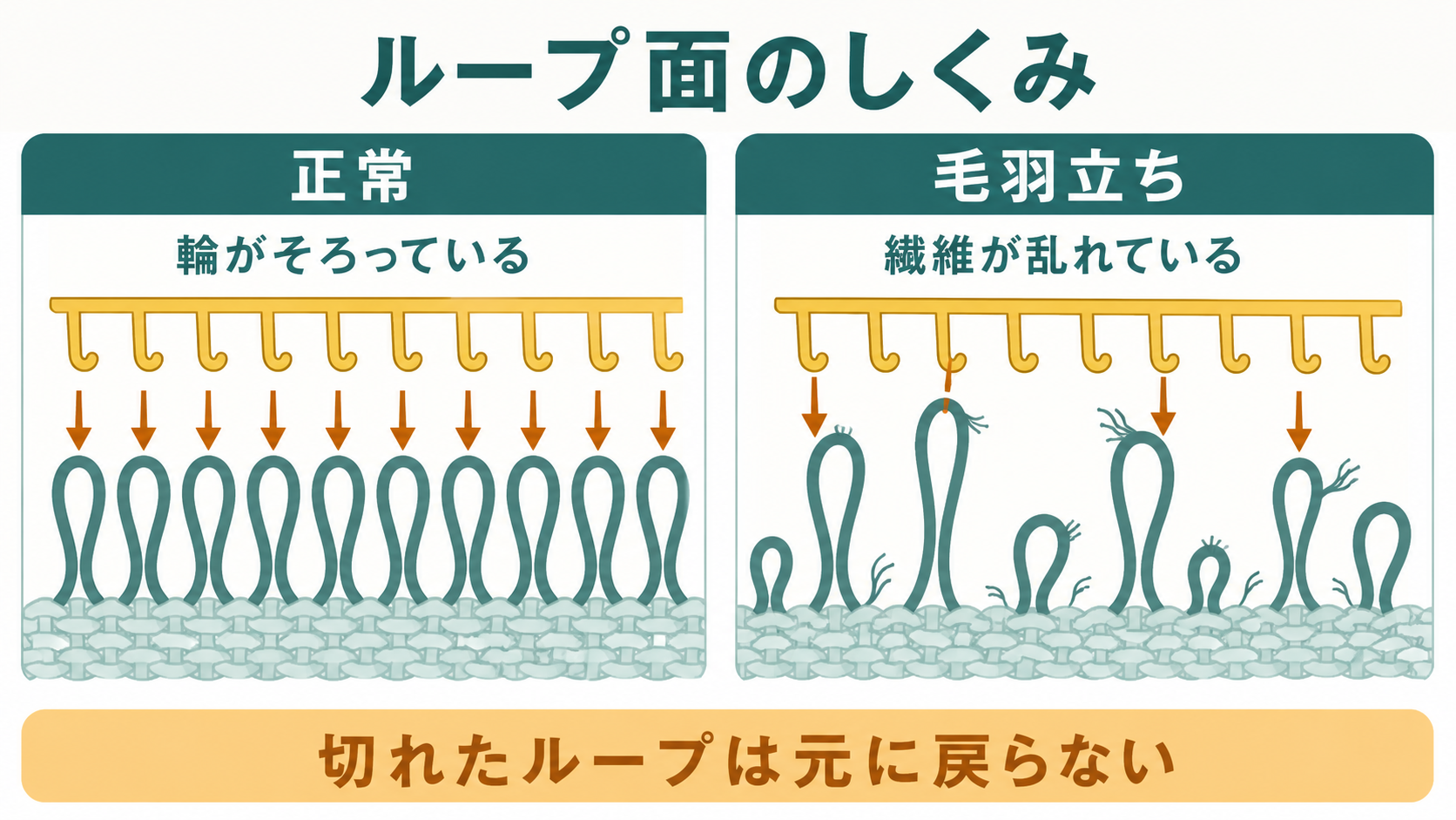正常なループ面と毛羽立ったループ面の仕組みの模式図